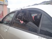 Превью фото № 130350