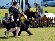 Превью фото № 130356