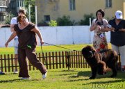 Превью фото № 130363