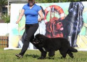 Превью фото № 130484