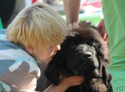 Превью фото № 130501