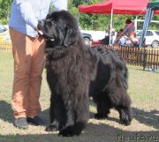 Превью фото № 130516