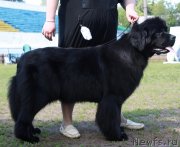 Превью фото № 130526