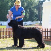 Превью фото № 130528