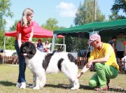 Превью фото № 130536