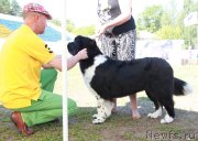 Превью фото № 130539