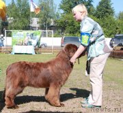Превью фото № 130545