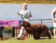 Превью фото № 130548