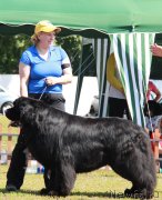 Превью фото № 130580