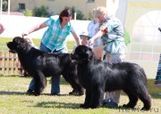 Превью фото № 130581