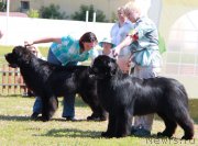 Превью фото № 130582