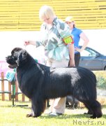 Превью фото № 130586