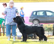 Превью фото № 130614