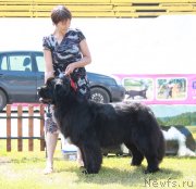 Превью фото № 130615