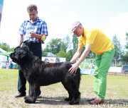 Превью фото № 130632