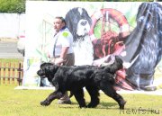 Превью фото № 130637