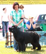 Превью фото № 130638