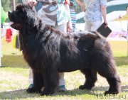 Превью фото № 130642