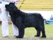 Превью фото № 130646