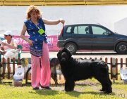 Превью фото № 130653