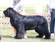 Превью фото № 130657