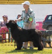 Превью фото № 130662