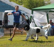 Превью фото № 130684