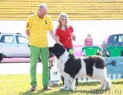 Превью фото № 130692