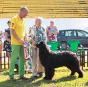 Превью фото № 130700