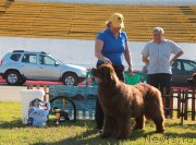 Превью фото № 130702