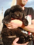 Превью фото № 130720