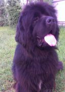 Превью фото № 130753