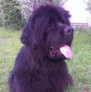 Превью фото № 130754