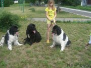 Превью фото № 130761