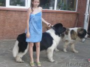 Превью фото № 130764