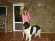 Превью фото № 130766