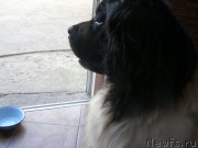 Превью фото № 130767