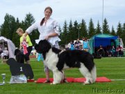 Превью фото № 130948