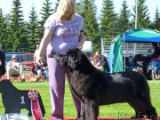 Превью фото № 130949