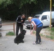 Превью фото № 130954