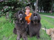 Превью фото № 130959