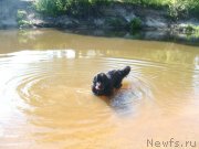 Превью фото № 131058