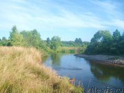 Превью фото № 131066