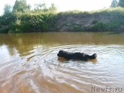 Превью фото № 131072