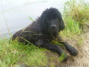 Превью фото № 131098