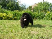 Превью фото № 131105