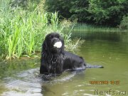 Превью фото № 131123