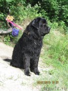 Превью фото № 131155