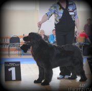 Превью фото № 131211