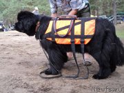 Превью фото № 131216